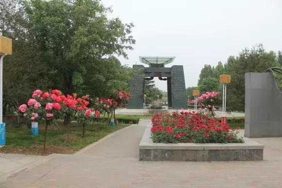 绿博园:五一近郊游,赏花正当时