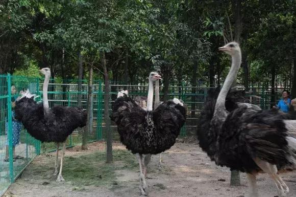 绿博园:五一近郊游,赏花正当时