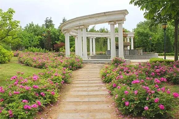 绿博园:五一近郊游,赏花正当时