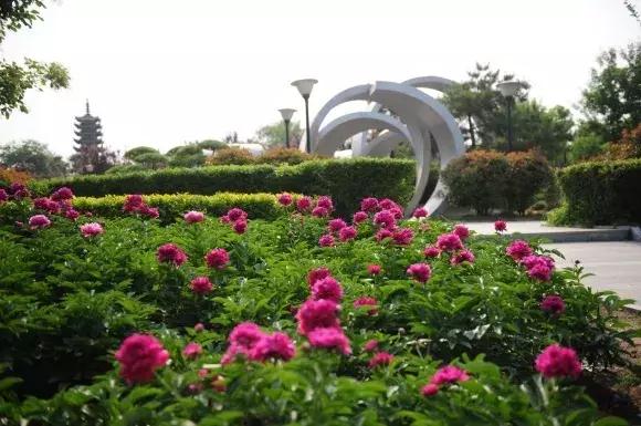 绿博园:五一近郊游,赏花正当时