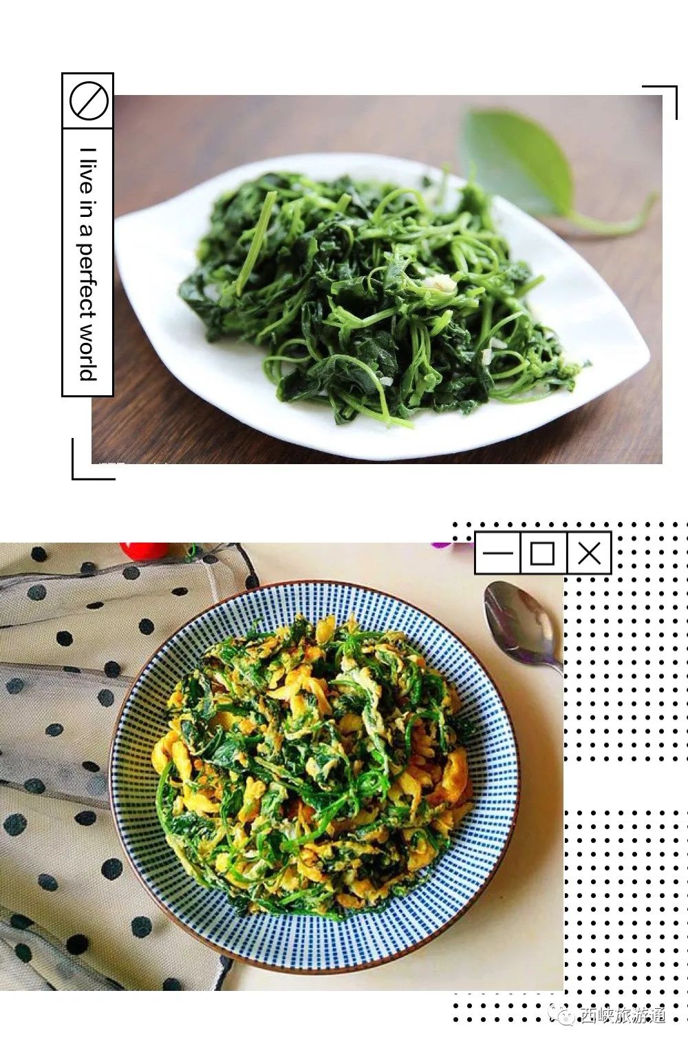 凉血止血功效食用方法:常见的做法是蒸食把面条菜择洗干净沥干拌上
