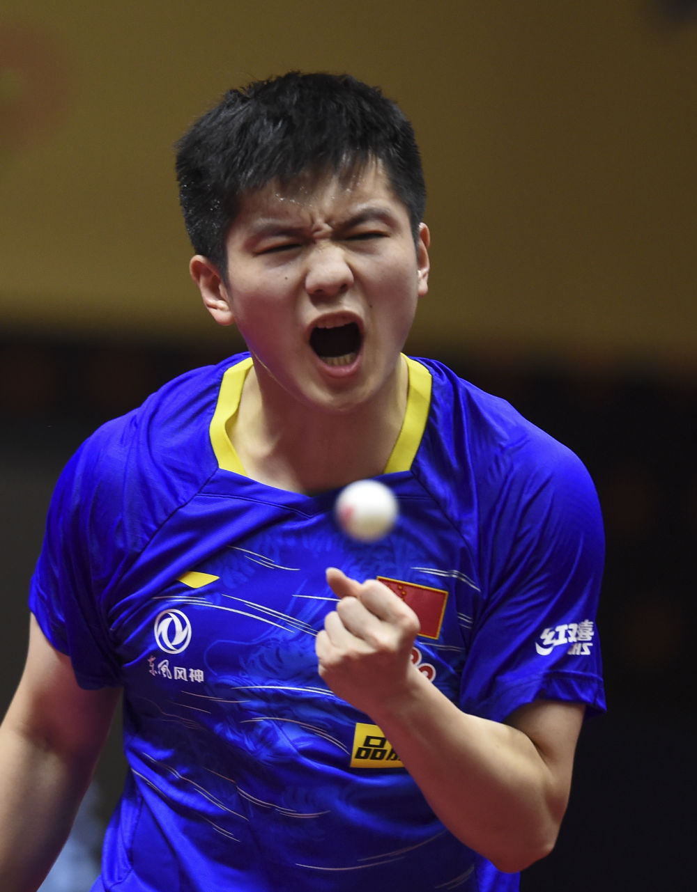 乒乓球卡塔尔公开赛樊振东男单夺冠