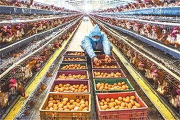 河南要求企业复工复产做到“六必须”