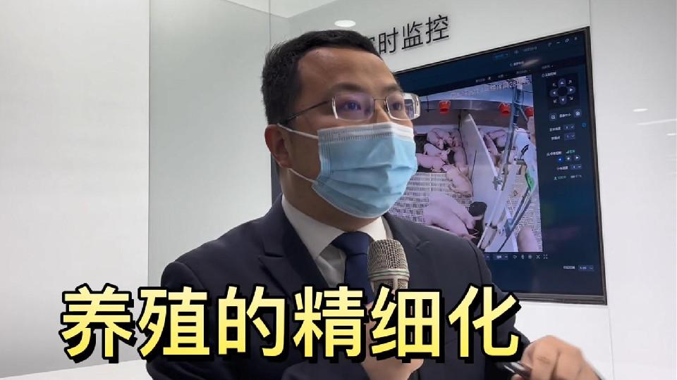 奋进新征程 建功新时代丨南阳发展高段位：厚植文化沃土 