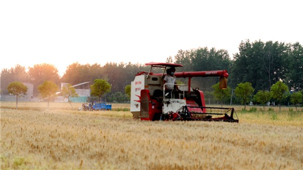 河南麦收新图景 | 河南将对因疫情无法返乡农民开展代