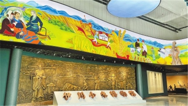 稻花香里说丰年丨伊川小米博物馆：追本“粟”源绘丰景