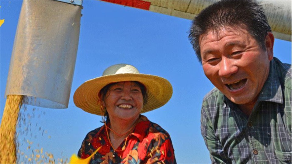 海报 | 丰收节，晒丰收！（一）