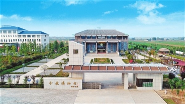 稻花香里说丰年丨温县小麦博物馆：小麦万年传耕耘天地间