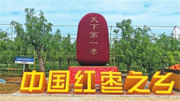 稻花香里说丰年丨新郑红枣博物馆：看一颗红枣的“裂变”