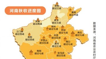 新时代 新征程 新伟业·豫见“三秋”丨全省秋作物收获