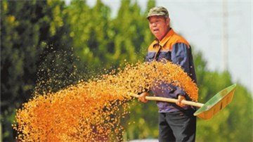 新时代 新征程 新伟业·豫见“三秋” | 未来一周利于