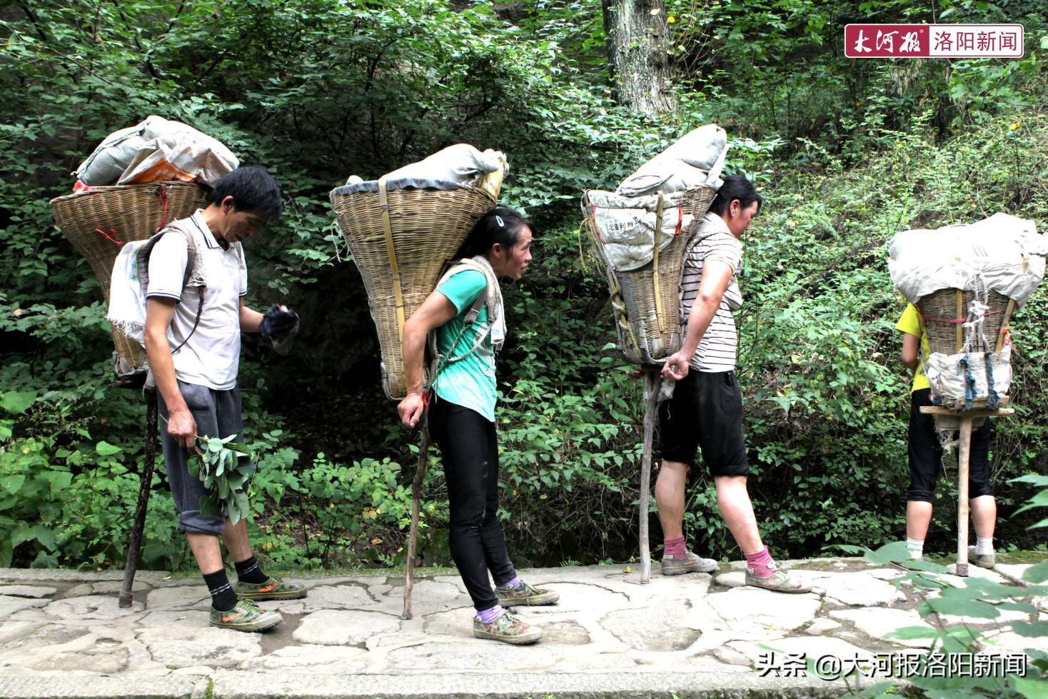 样的挑山工总共有7位,其中还有3位女性,他们都来自陕西省汉中市宁强县