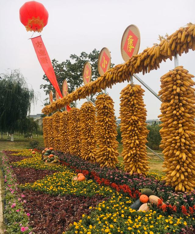 今天 就在开封西姜寨