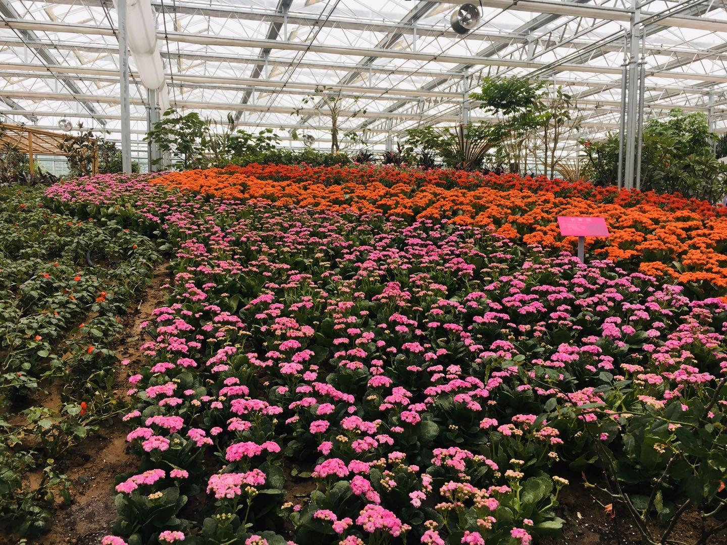 今天 就在开封西姜寨