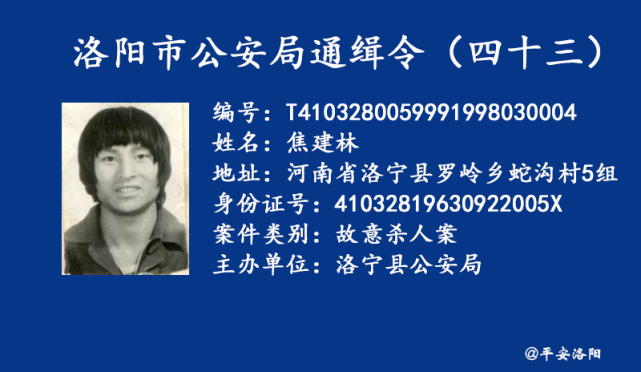 洛阳市公安局发布通缉令 - 河南一百度