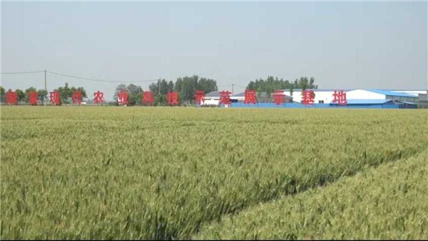 河南麦收新图景丨收割机已备齐 无劳力有人帮 获嘉县三