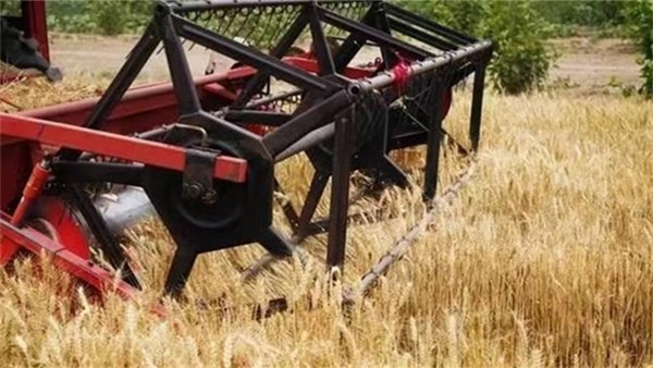 河南麦收新图景 | 丰收！襄城县湛北乡喜开全县麦收“第