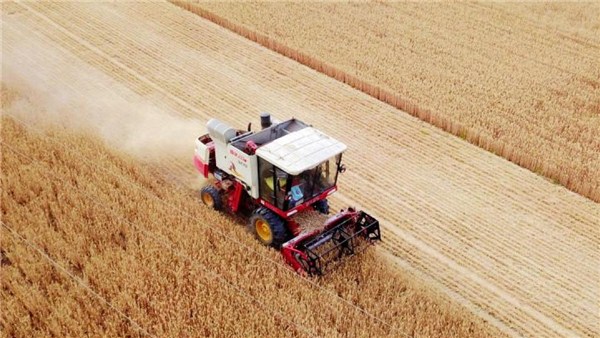  河南麦收新图景 | 组图！孟州8000台农机战“三夏”