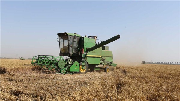 河南麦收新图景丨周口1100多万亩小麦，几天内能收完?答