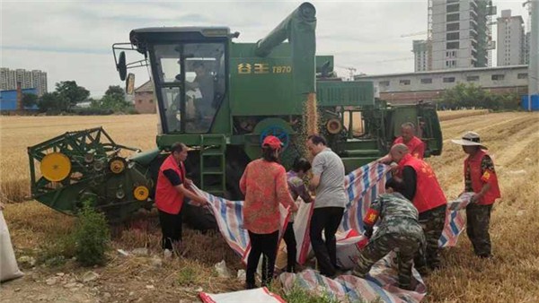  河南麦收新图景丨“三夏”麦收季，博爱“志愿红”成就