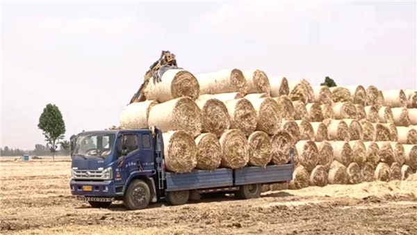  河南麦收新图景丨推动禁烧工作开展，舞阳县莲花镇回收