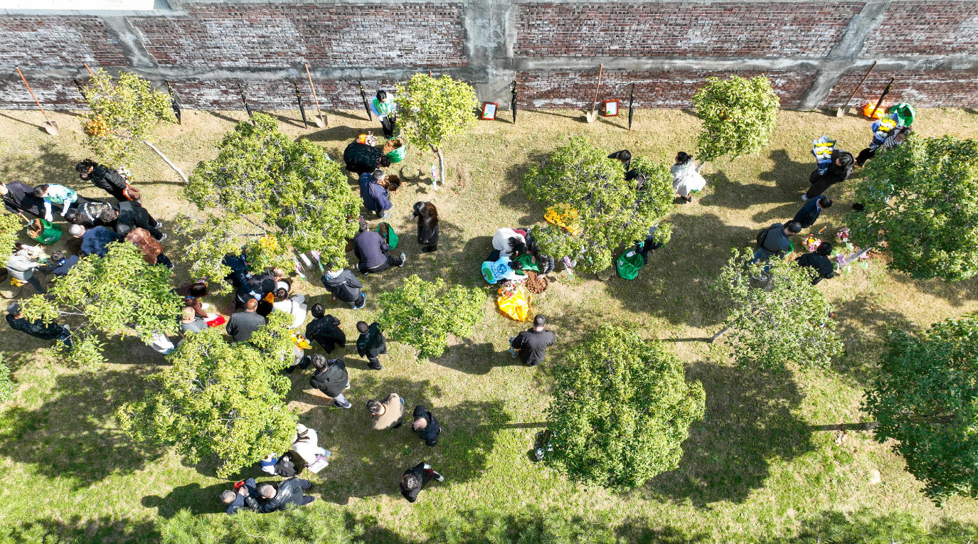 洛阳凤凰山生态纪念园