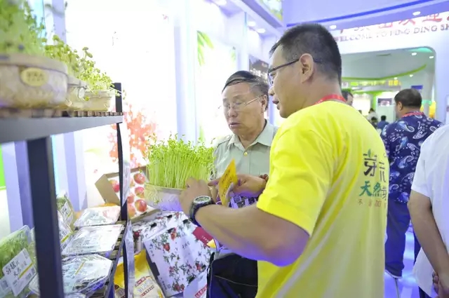 芽状元亮相中国农洽会 玩转古法豆芽的创新表达