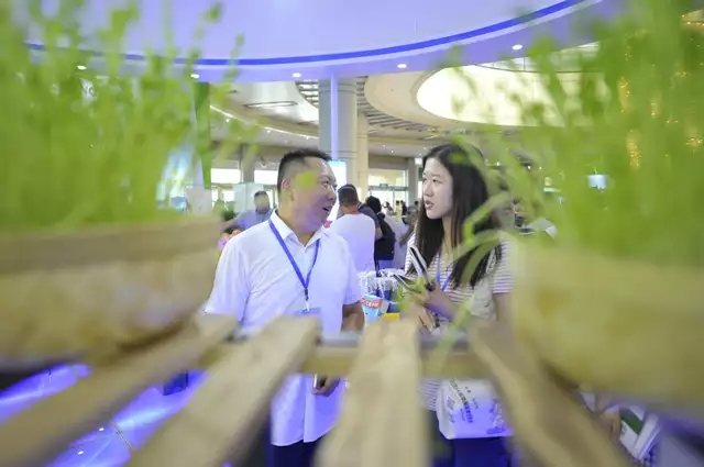 芽状元亮相中国农洽会 玩转古法豆芽的创新表达