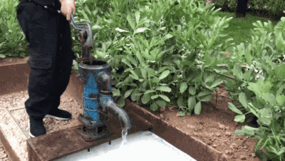 一个老式压水井也偷偷地藏在了农场里,不如带娃来体验一下,再自豪地