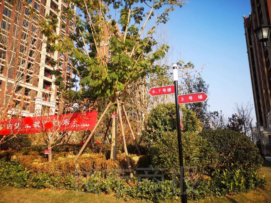 验房记中规中矩中建森林上郡二期