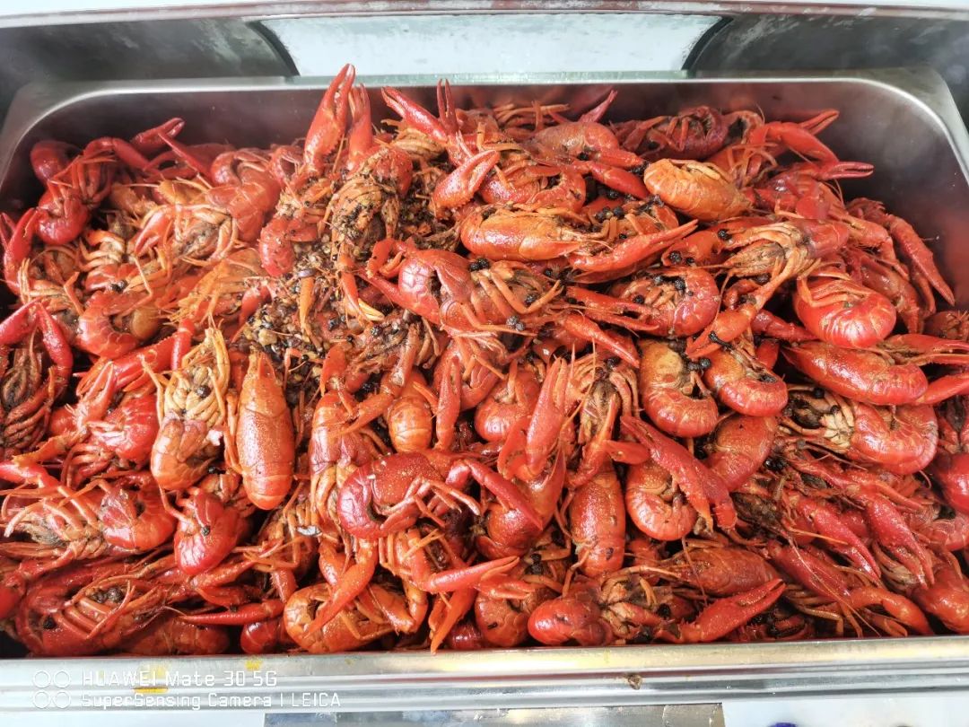 河南厨师战“疫”日记