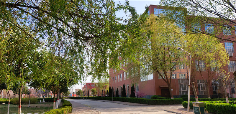 樱飞柳绿桃红黄河交通学院春意正浓