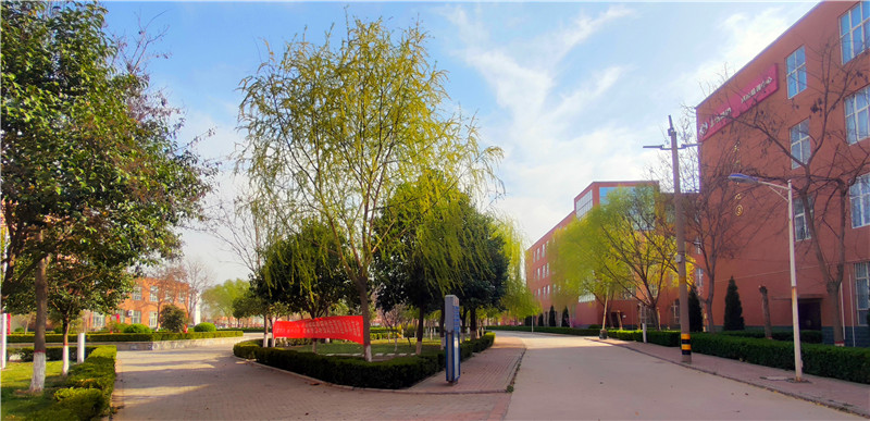 樱飞柳绿桃红黄河交通学院春意正浓