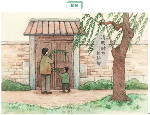 每到清明,家家户户都要折柳枝插在自家的门楣上.