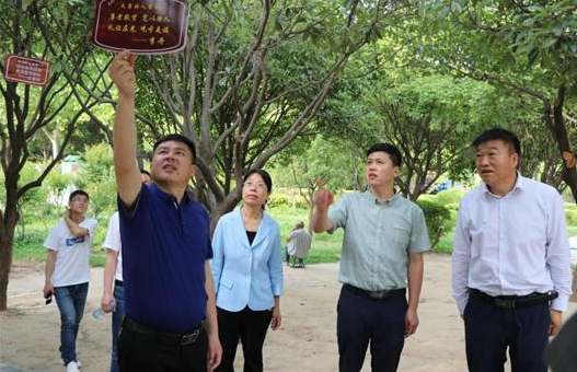 太康县,太康,县委书记,王国玺