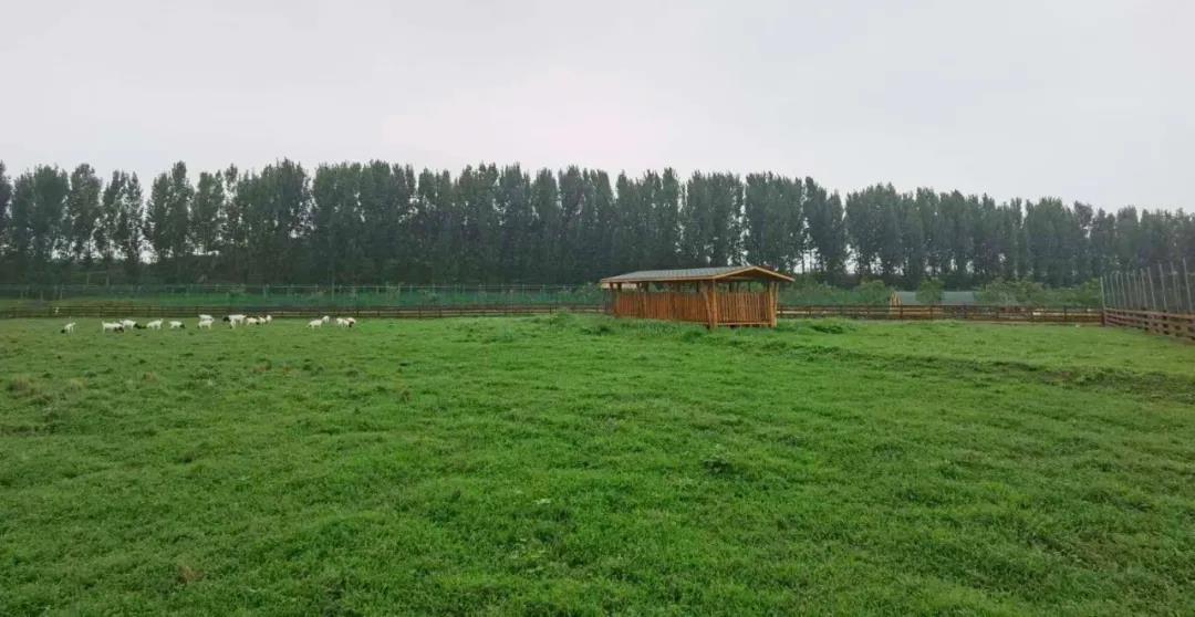 郑州普罗理想国