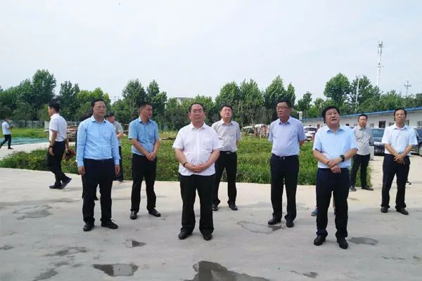 太康王国玺,太康县王国玺,王国玺,太康县,河南太康