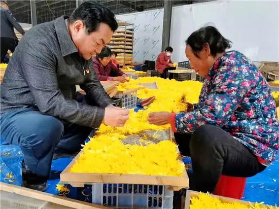 太康县委书记王国玺深入乡镇调研脱贫攻坚,农村人居环境综合整治,农村