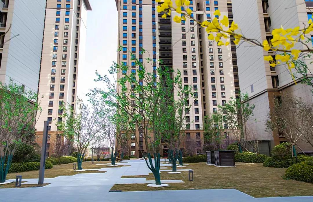 周口建业城丨入住美好,不负所期