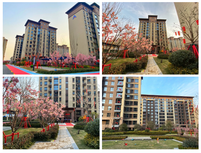 家期已定,美好相约 | 建业春天里即将盛大交付