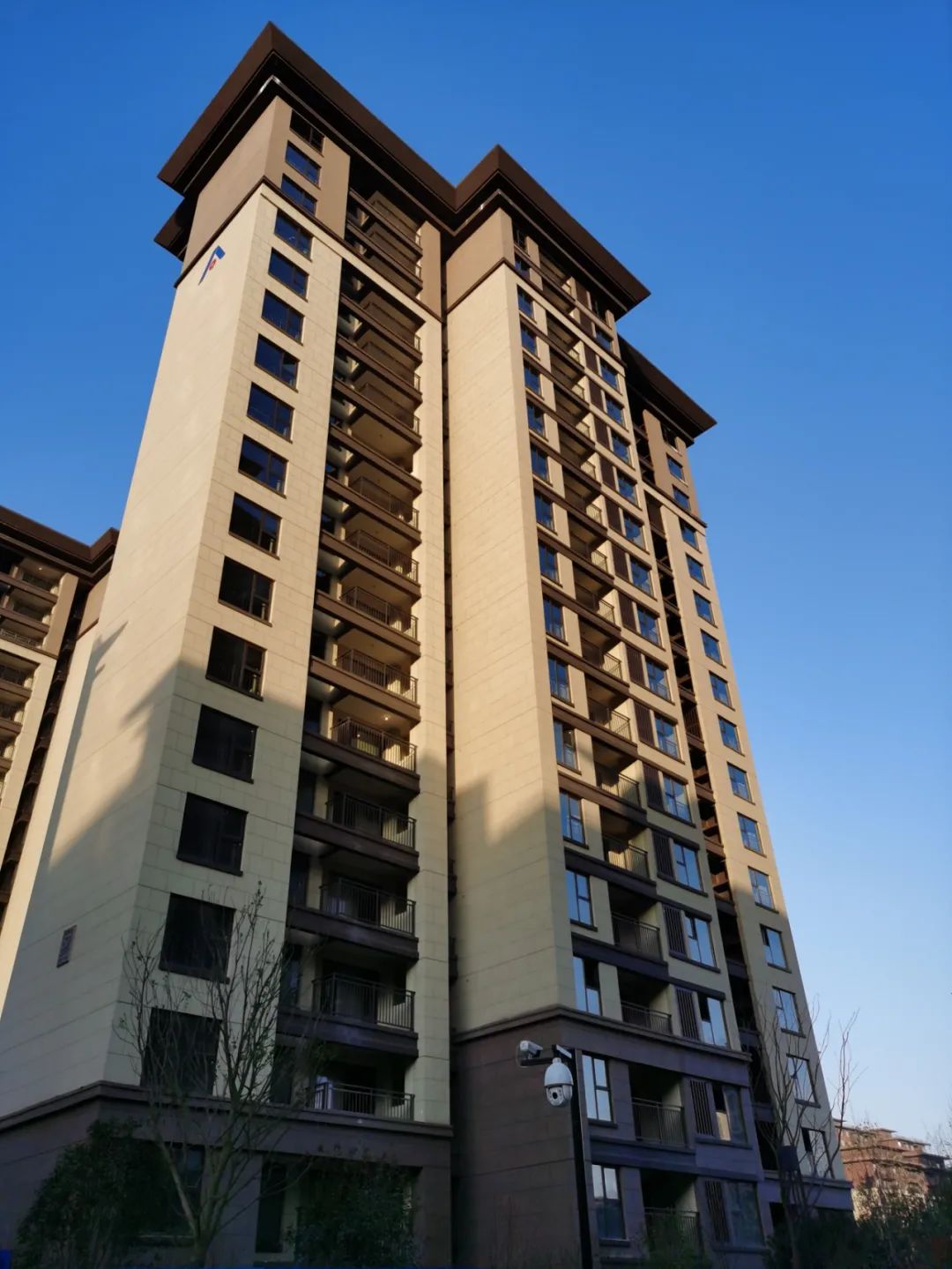 平舆建业城丨序启冬的乐章,惊艳家的模样!