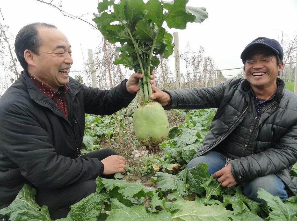 奉献终身 不负使命 ——追记商水县平店乡刘大庄村第一书记王新奇