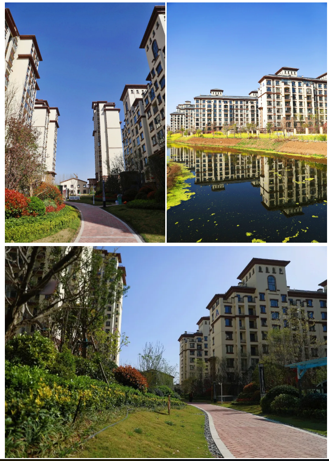 建业森林半岛丨不只是烟火气,还有漫天的春光和花香!