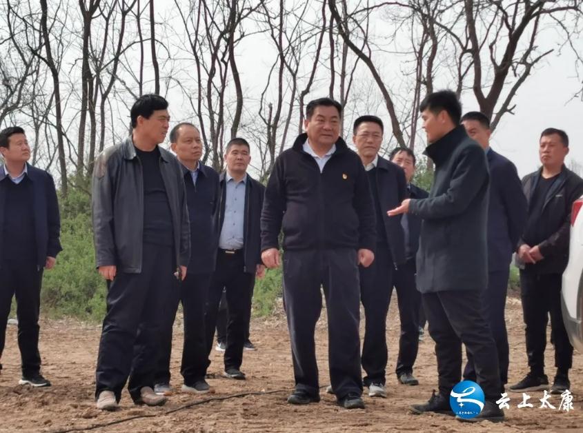 太康,太康县,周口太康,河南太康,太康县委书记王国玺