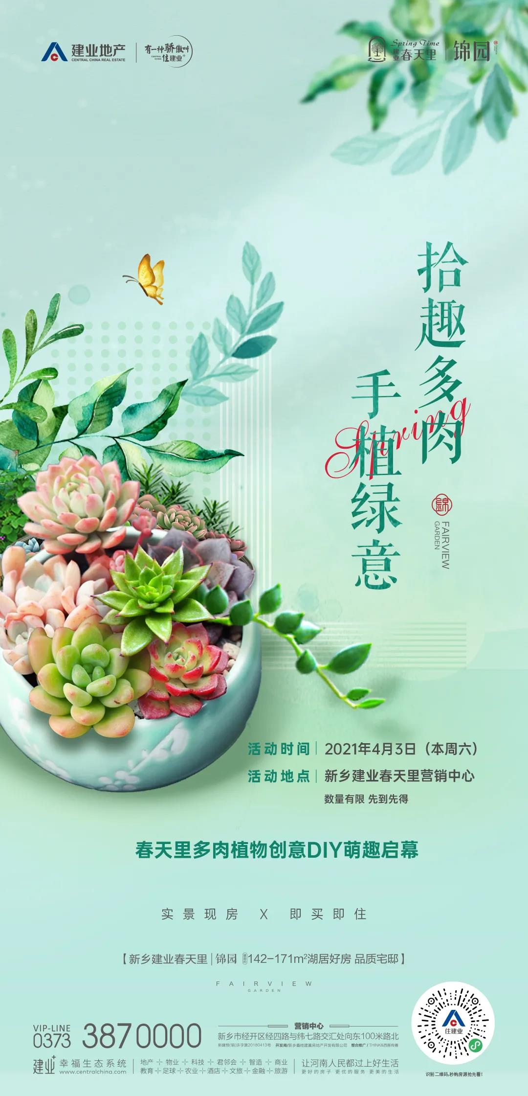 手植绿意,拾趣多肉 | 来建业春天里领走你的"小鲜肉"吧!