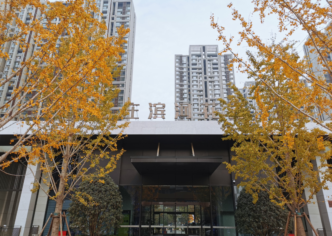 业主专访在永威西郡遇见我的理想生活