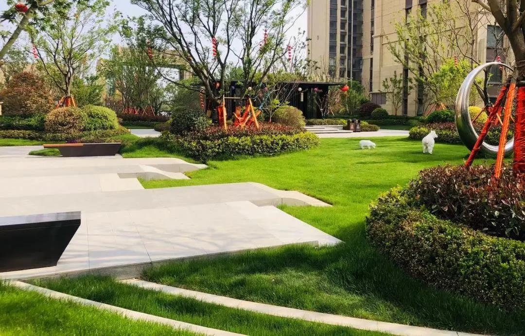 建业公园里公园谧境里邂逅春天的绿意