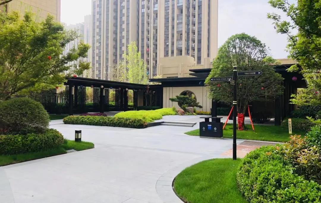 建业公园里公园谧境里邂逅春天的绿意