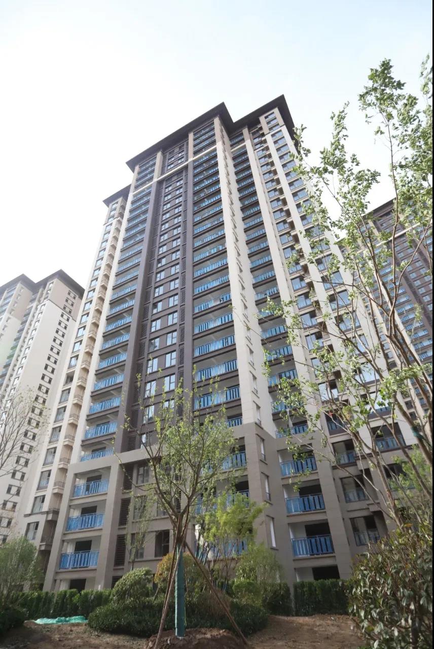 平顶山建业春天里丨美好归心时光,家音如约而至!