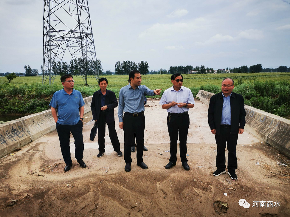 商水县委书记孔阳调研小麦倒伏和县城内涝治理工作